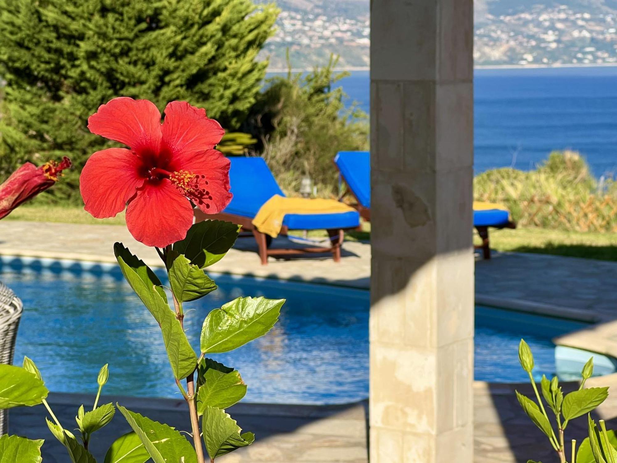 Willa Dionysos, Spartia, Kefalonia Livathos (Kefalonia)